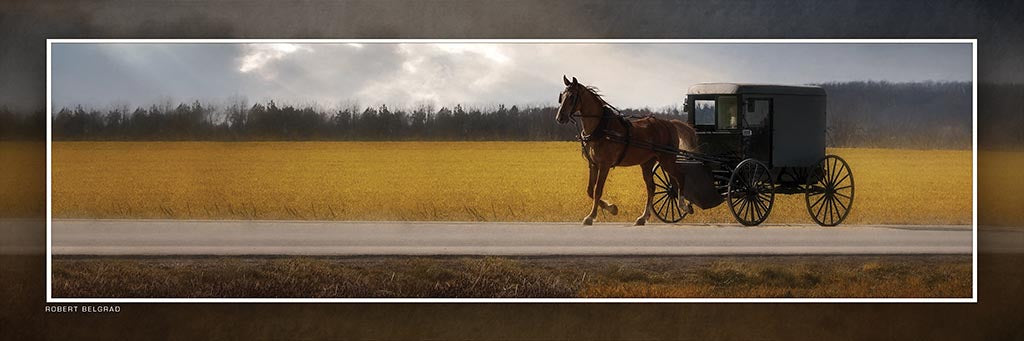 &quot;Hurrying Home&quot; 4x12 Panoramic Metal Print with Stand