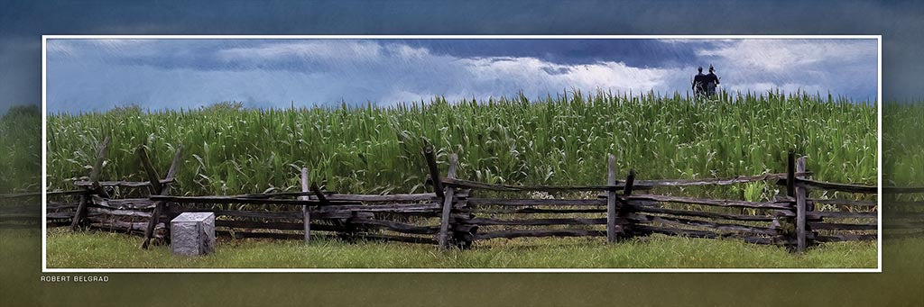&quot;Excelsior Field in Corn&quot; 4x12 Panoramic Metal Print with Stand