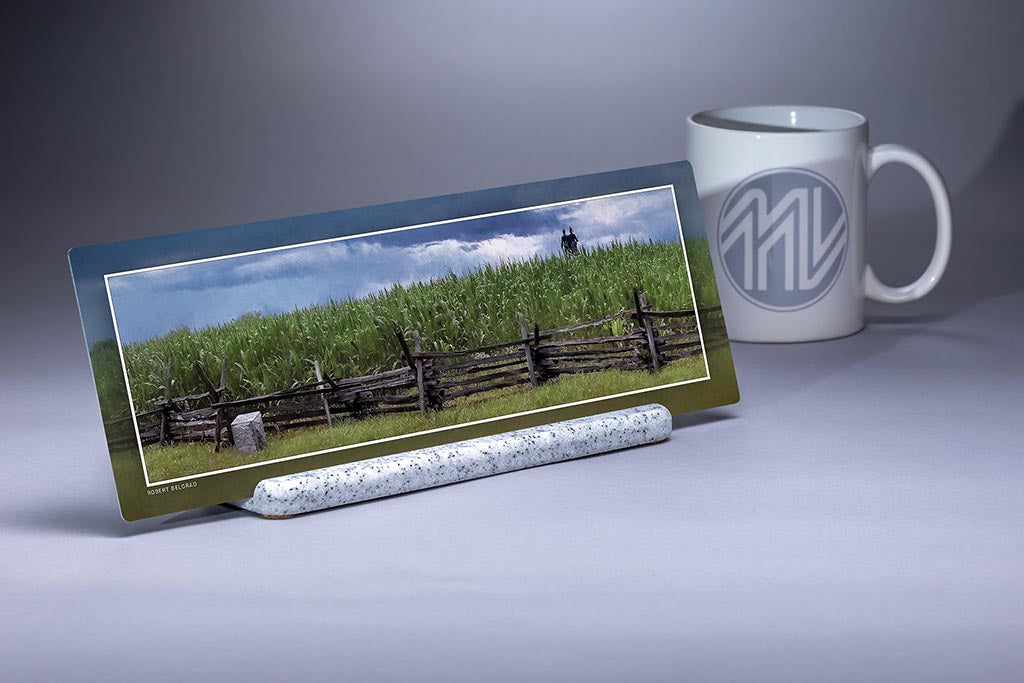 &quot;Excelsior Field in Corn&quot; 4x12 Panoramic Metal Print with Stand
