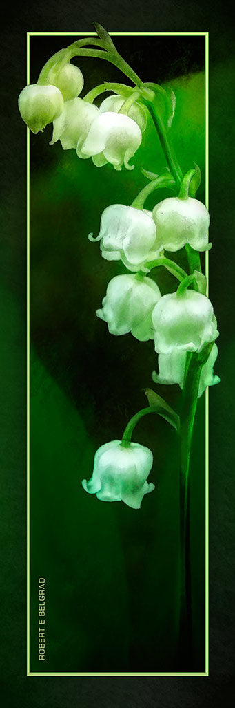 &quot;Silver Bells, Redux&quot; 4x12 Panoramic Metal Print with Stand