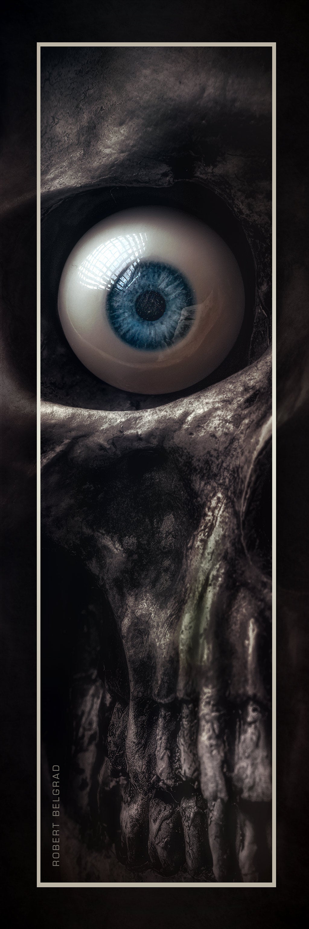 "Narrow Viewpoint" 4x12 Panoramic Metal Print with Stand