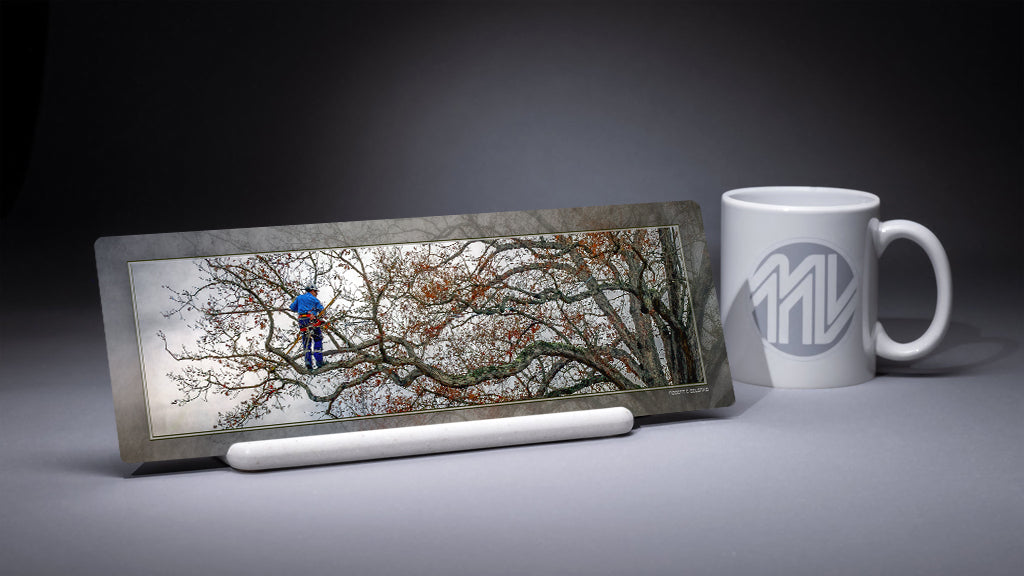 &quot;Wayne and the Witness&quot; 4x12 Panoramic Metal Print with Stand