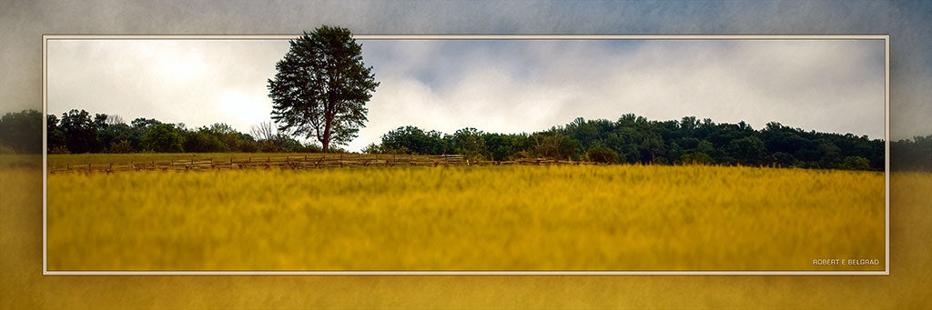 &quot;Lone Tree at Gettysburg&quot; 4x12 Panoramic Metal Print with Stand