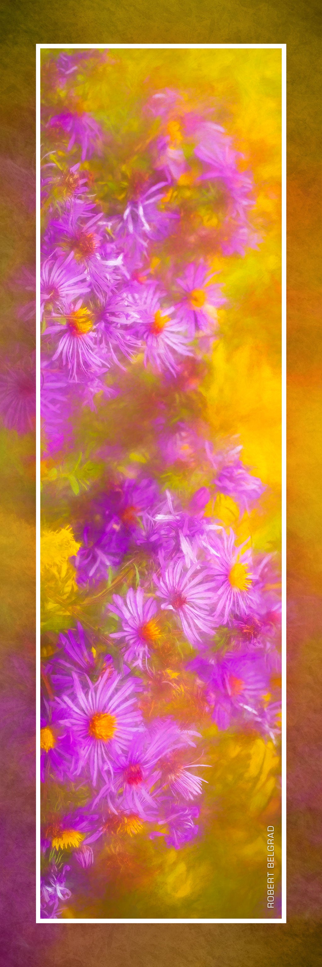 &quot;Impressions of Morning&quot; 4x12 Panoramic Metal Print with Stand