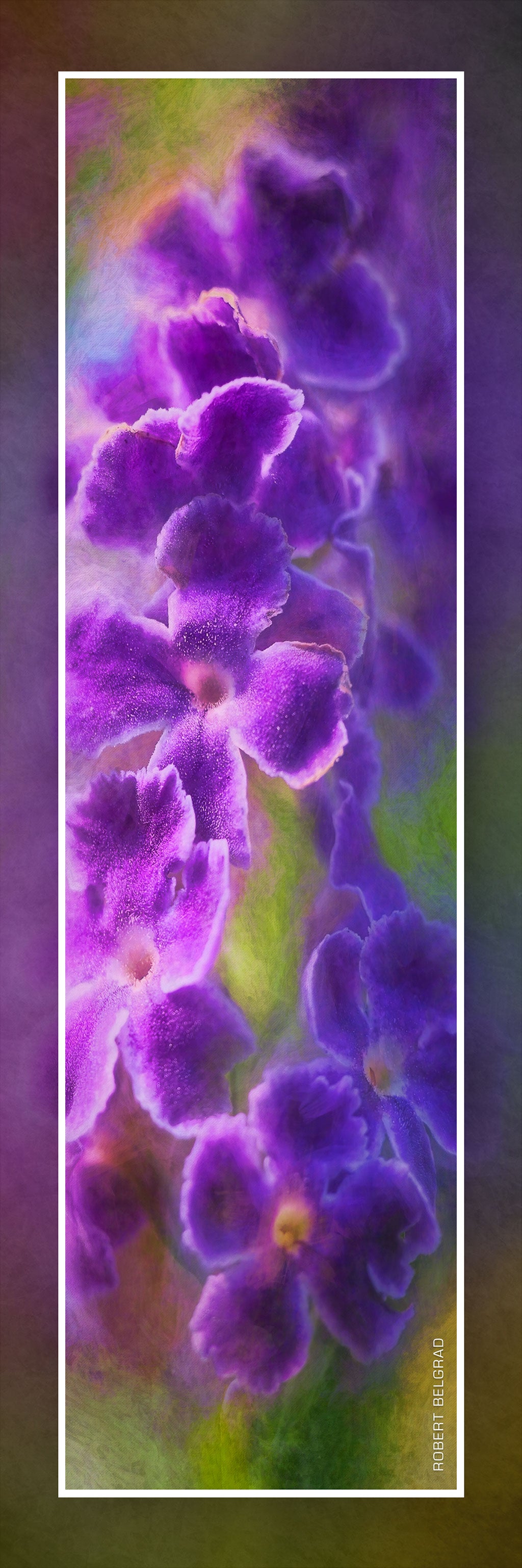 &quot;Purple Blooms&quot; 4x12 Panoramic Metal Print with Stand