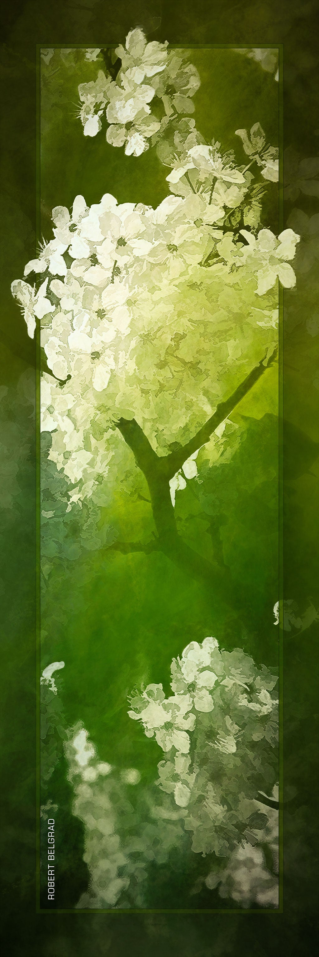 &quot;White Blossoms on Green&quot; 4x12 Panoramic Metal Print with Stand