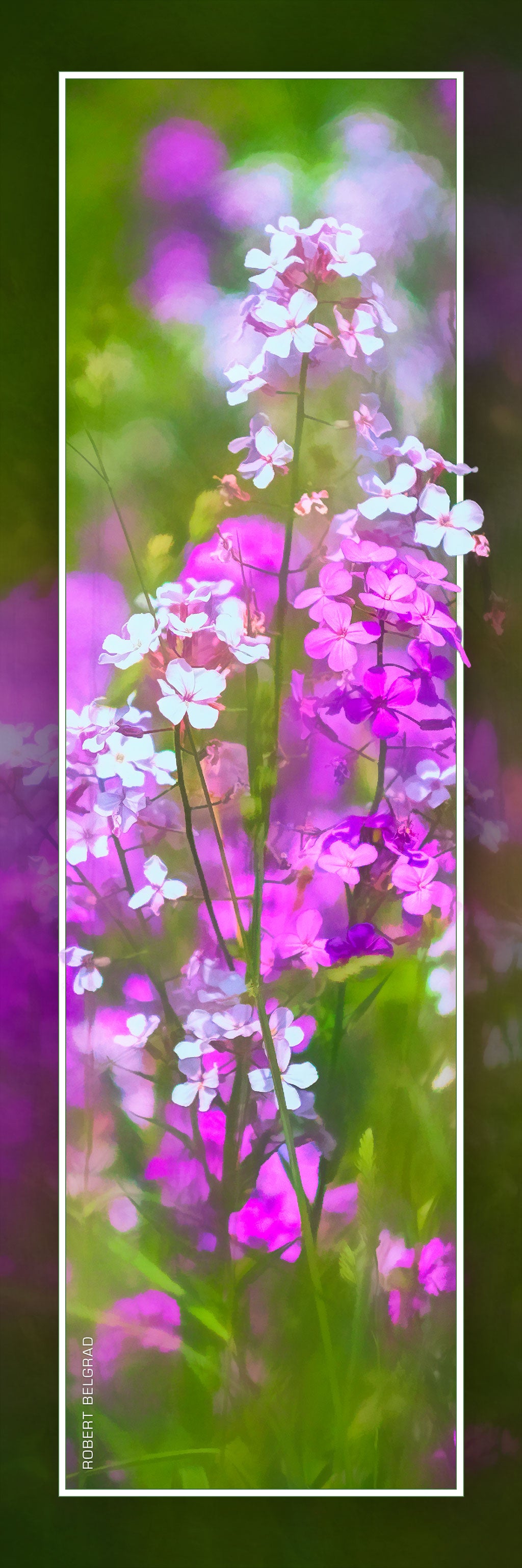 &quot;Spring Flowers&quot; 4x12 Panoramic Metal Print with Stand