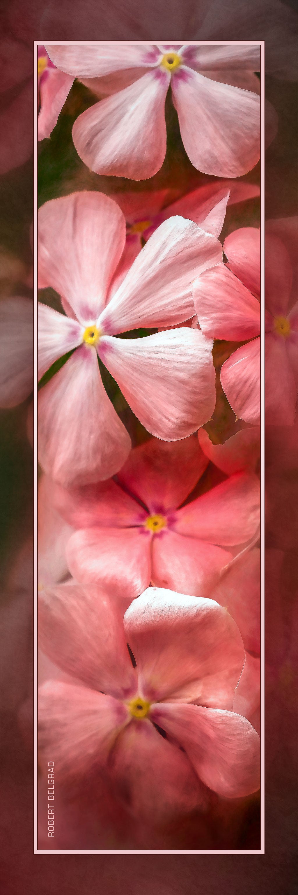 &quot;Pink Blossoms&quot; 4x12 Panoramic Metal Print with Stand