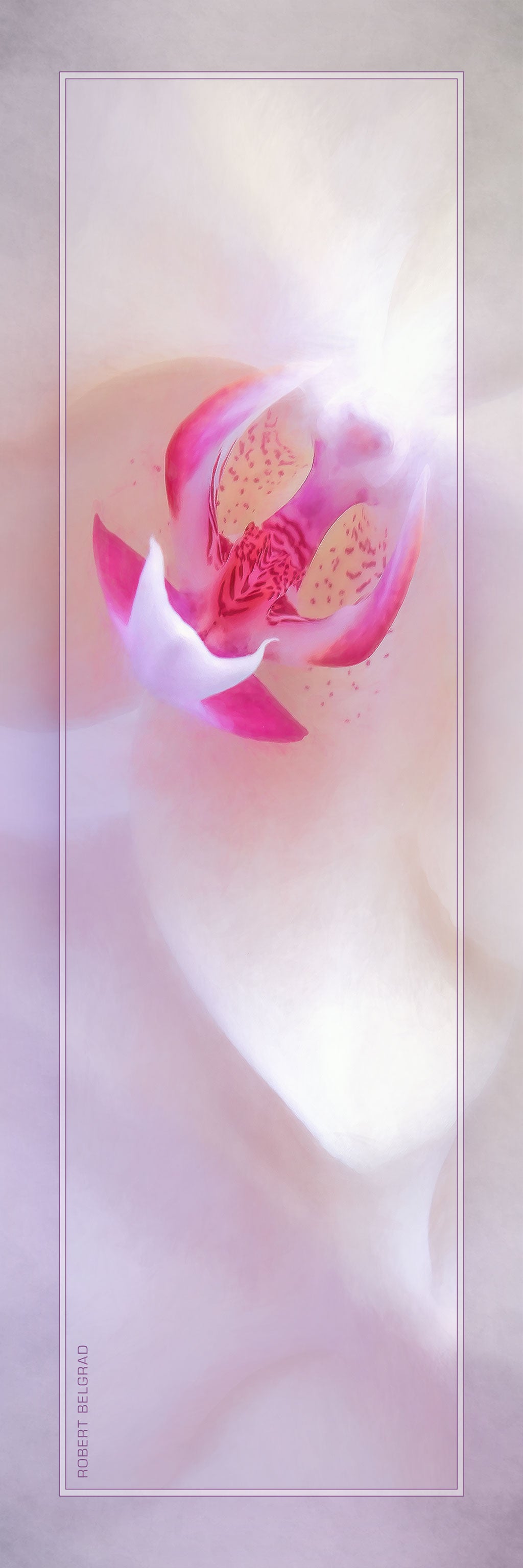 &quot;Orchid Angles&quot; 4x12 Panoramic Metal Print with Stand