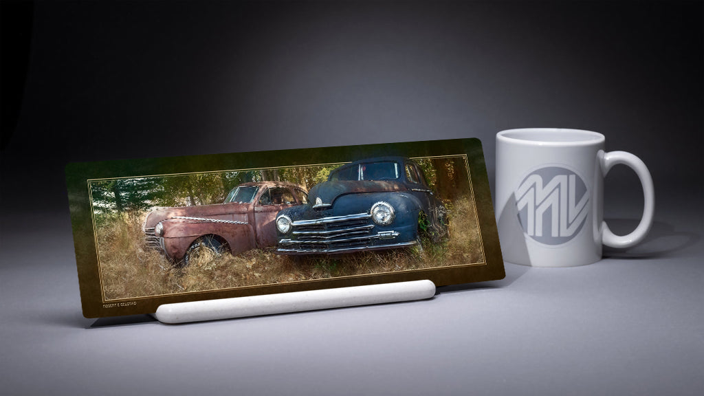 &quot;Long Term Parking&quot; 4x12 Panoramic Metal Print with Stand