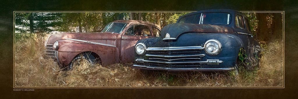 &quot;Long Term Parking&quot; 4x12 Panoramic Metal Print with Stand