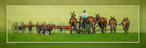 "Wide Turn" 4x12 Panoramic Metal Print with Stand