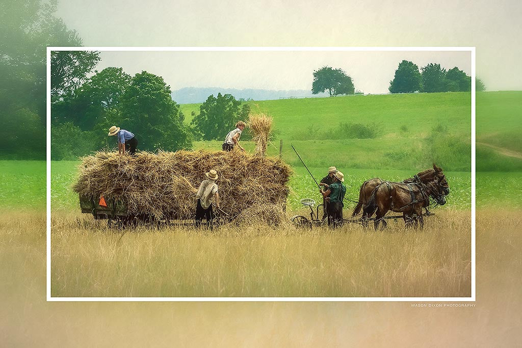 &quot;Harvesting Spelt&quot; 6x9 Metal Print &amp; Stand