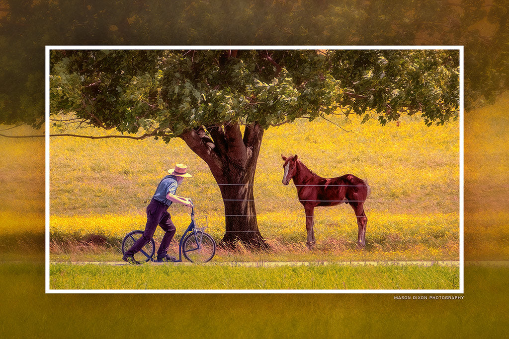 &quot;Word on the Street&quot; 6x9 Metal Print &amp; Stand