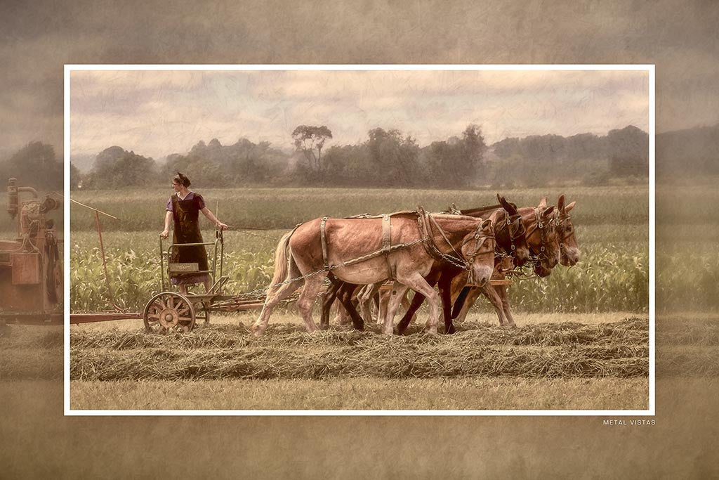 "Haymaker" 6x9 Metal Print & Stand