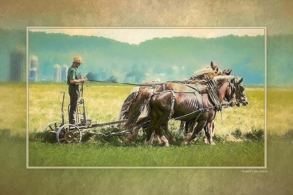 &quot;The Seasoned Team&quot; 4x6 Metal Print &amp; Stand