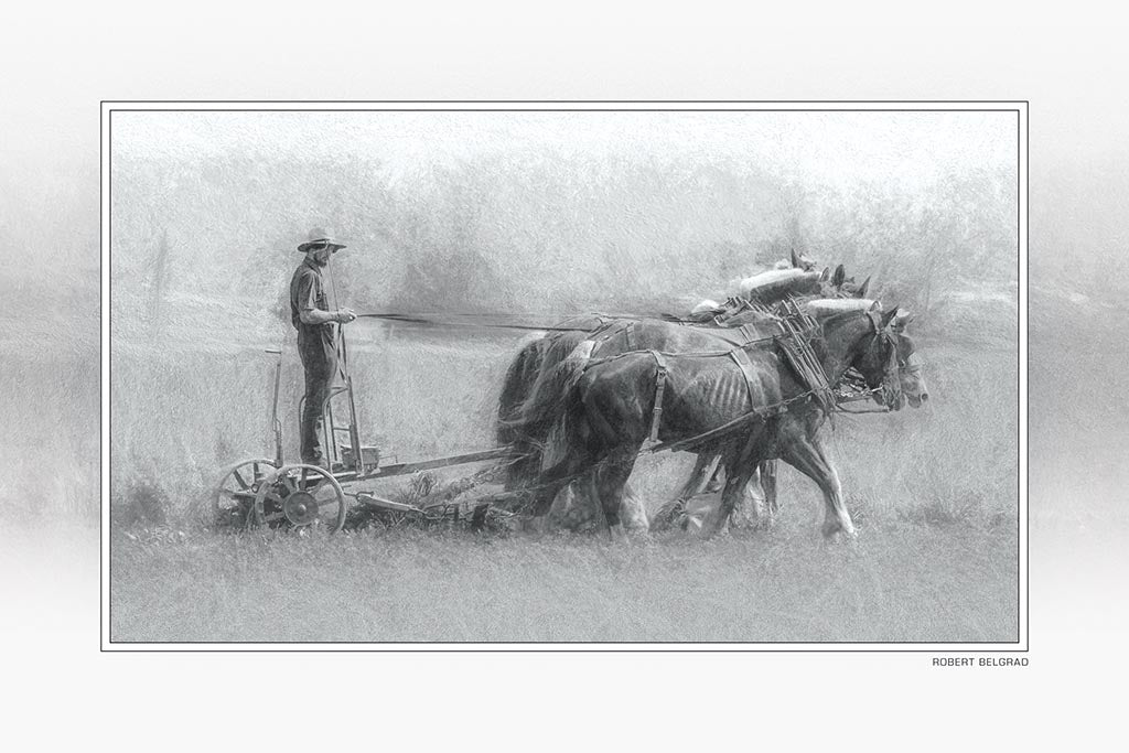 &quot;Harvest in Black and White&quot; 4x6 Metal Print &amp; Stand