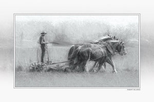 "Harvest in Black and White" 4x6 Metal Print & Stand