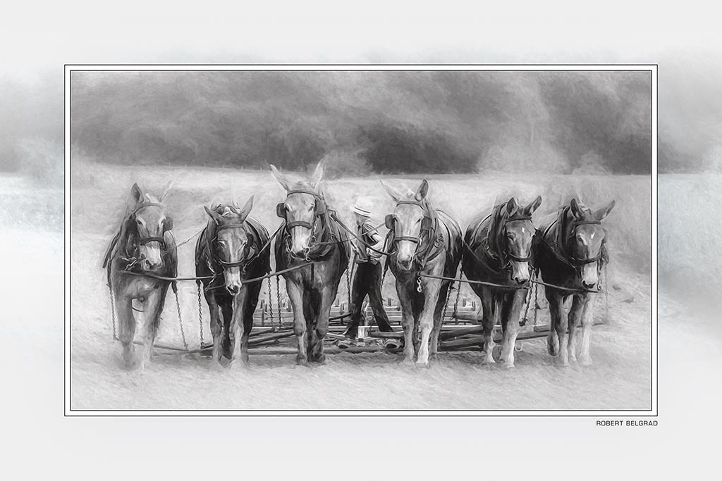 &quot;The Team&quot; 4x6 Metal Print &amp; Stand