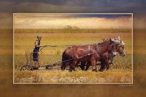 "Working the Fields" 4x6 Metal Print & Stand