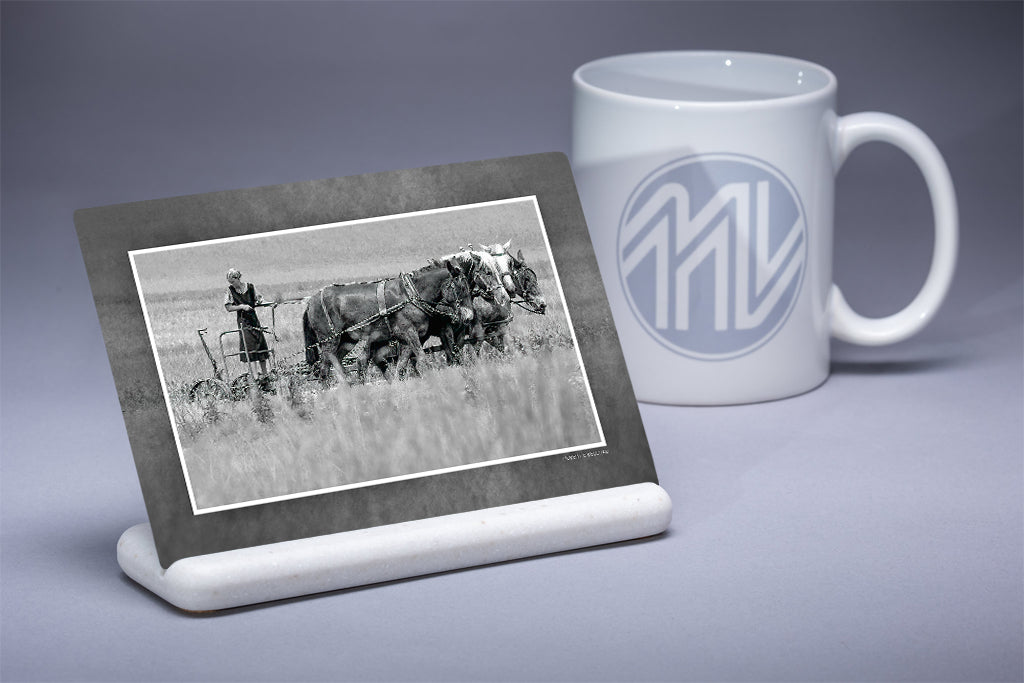 &quot;Working the Field&quot; 4x6 Metal Print &amp; Stand