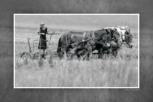 "Working the Field" 4x6 Metal Print & Stand
