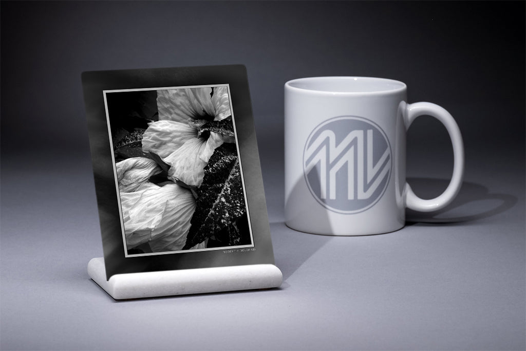 &quot;Wilting Petals, Redux&quot; 4x5 Metal Print &amp; Stand