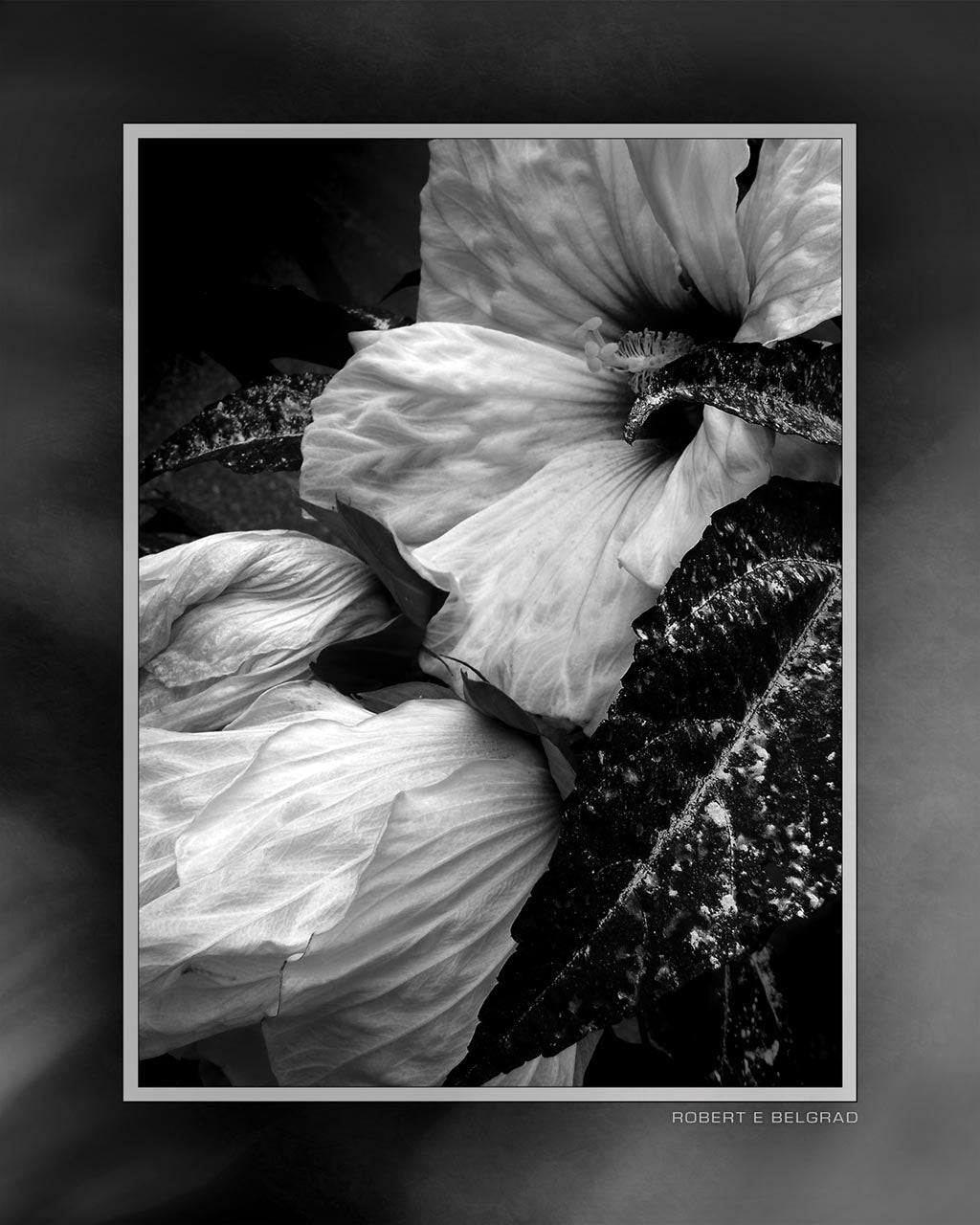 &quot;Wilting Petals, Redux&quot; 4x5 Metal Print &amp; Stand