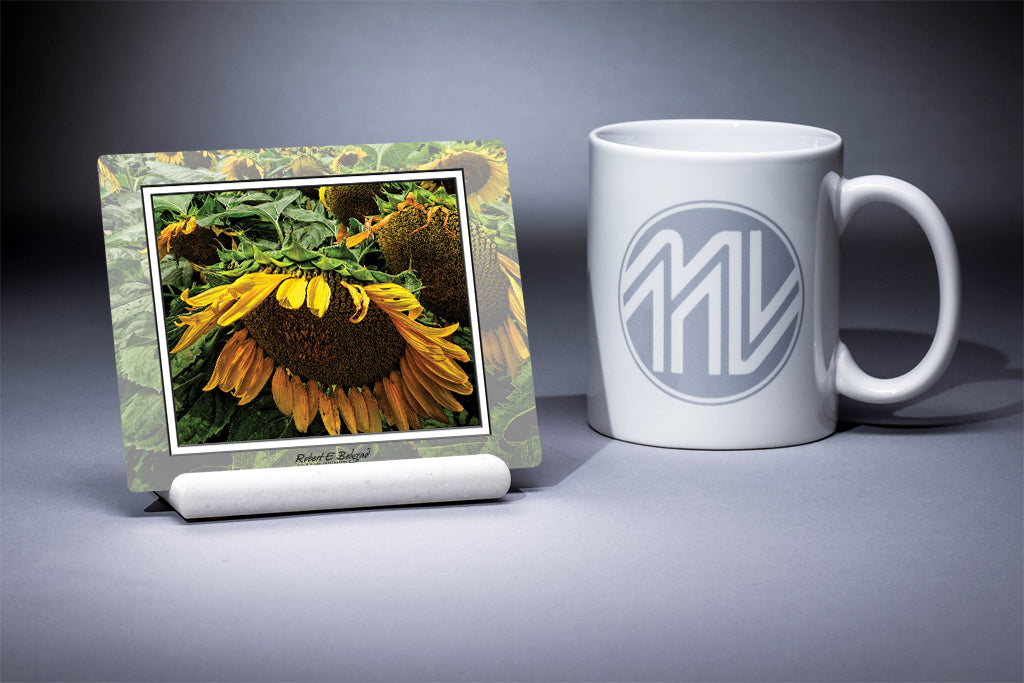 &quot;Sunflowers, Framed&quot; 4x5 Metal Print &amp; Stand