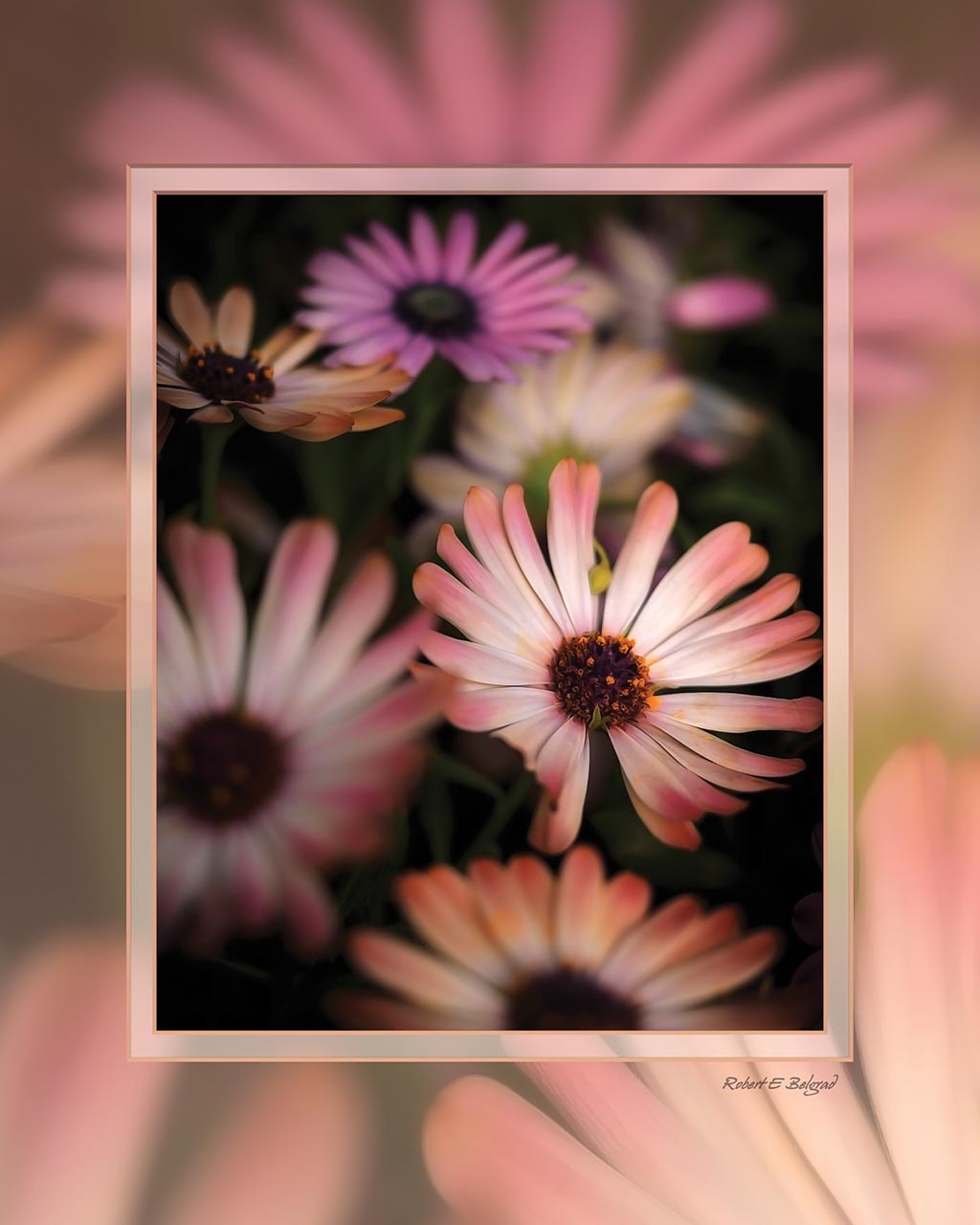 &quot;Pastel Flowers at Kissels&quot; 4x5 Metal Print &amp; Stand