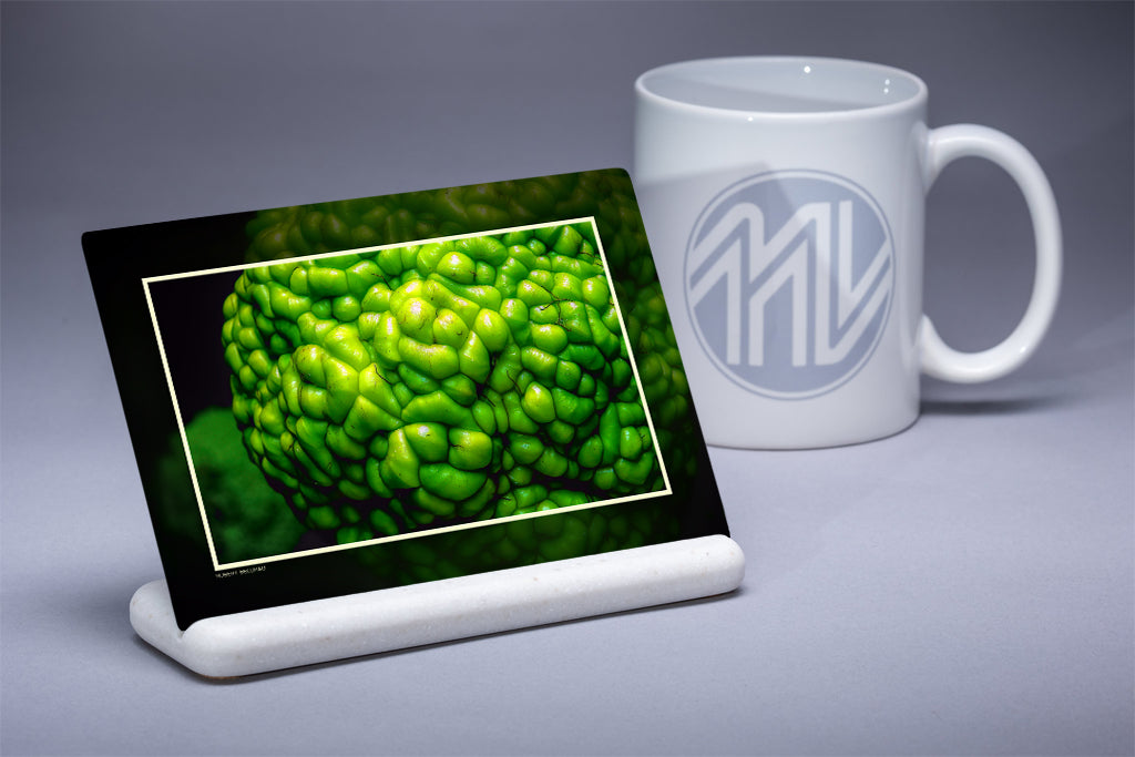 &quot;Osage Oranges&quot; 4x6 Metal Print &amp; Stand