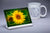 "Uppity Sunflower" 4x6 Metal Print & Stand