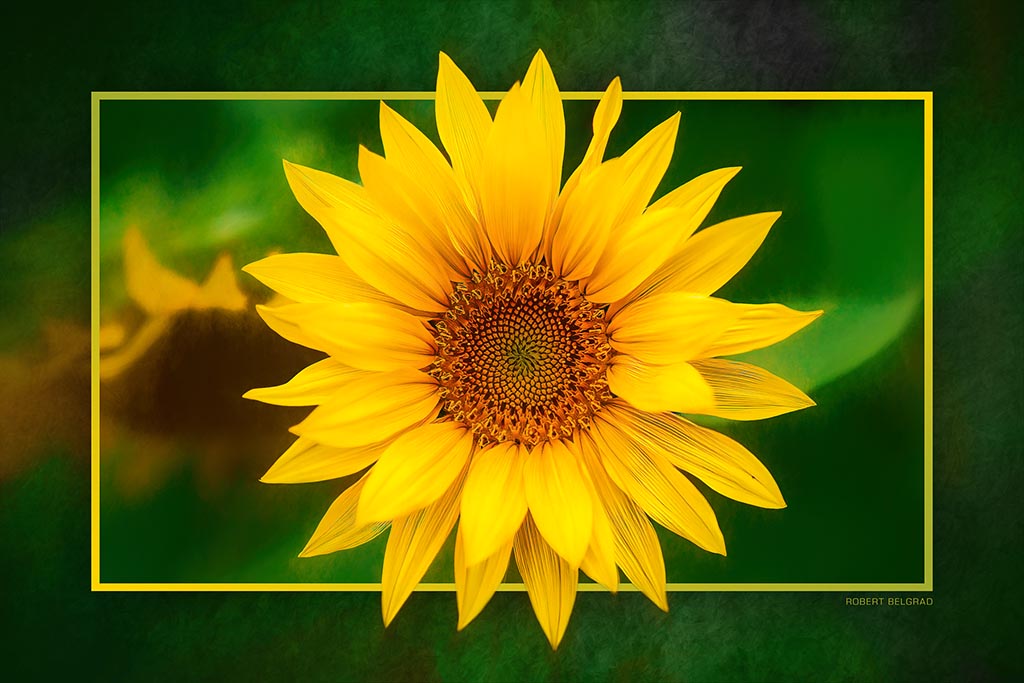 &quot;Uppity Sunflower&quot; 4x6 Metal Print &amp; Stand