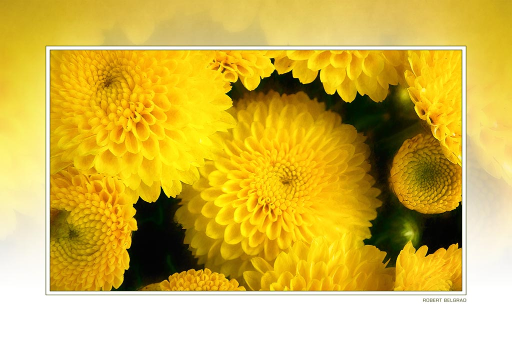 &quot;Marigolds&quot; 4x6 Metal Print &amp; Stand