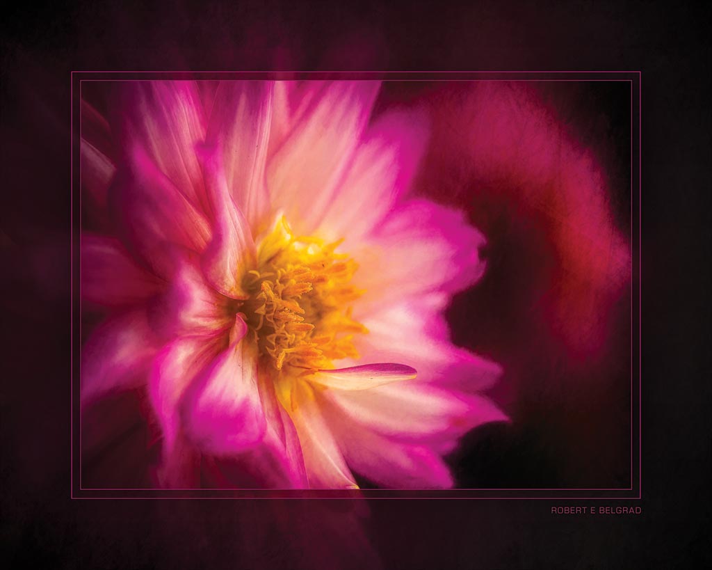 &quot;Floral Appeal&quot; 4x5 Metal Print &amp; Stand