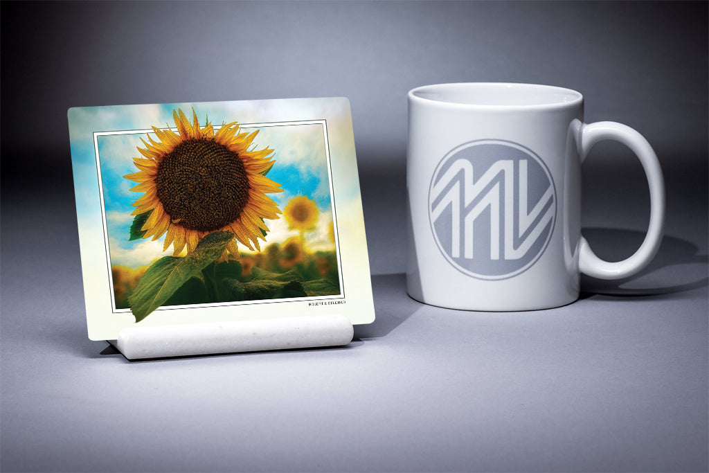 &quot;Sunny Side Up&quot; 4x5 Metal Print &amp; Stand