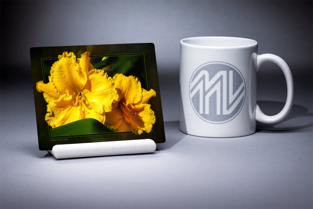 &quot;Yellow Blooms&quot; 4x5 Metal Print &amp; Stand