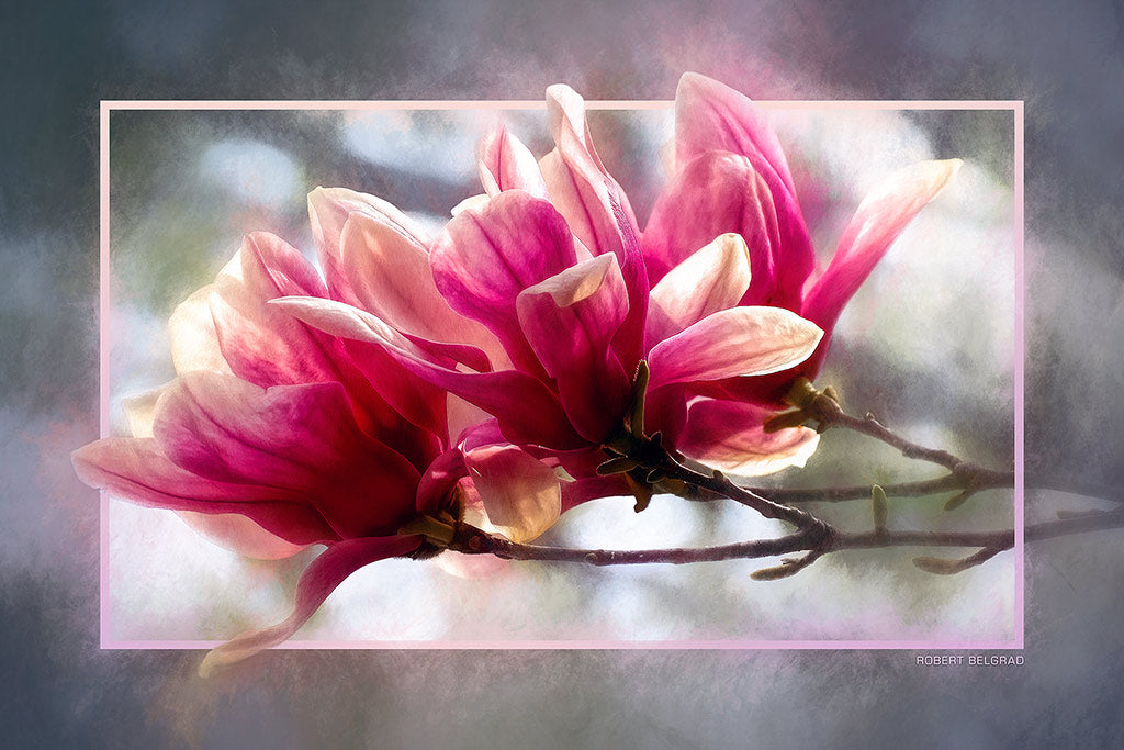 &quot;Magnolia Blossoms&quot; 4x6 Metal Print &amp; Stand