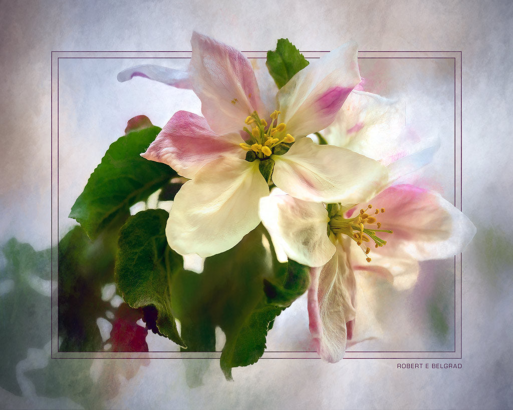 "Magnolias" 4x5 Metal Print & Stand