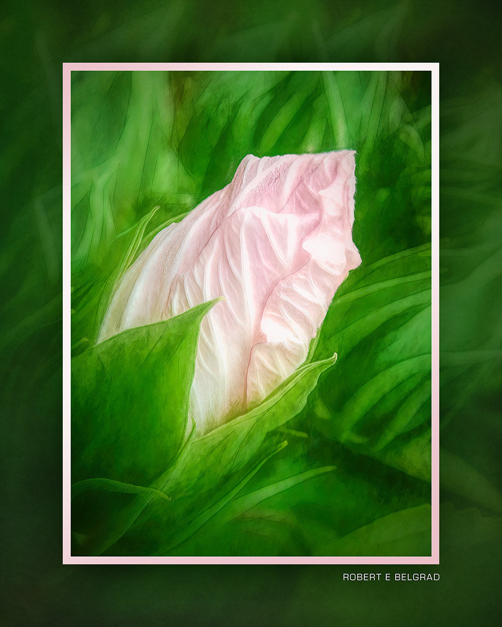 "Pink Bud" 4x5 Metal Print & Stand