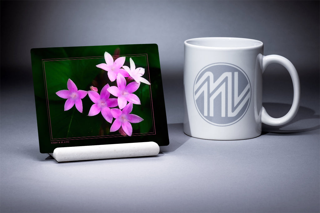 &quot;Magenta Blossoms&quot; 4x5 Metal Print &amp; Stand