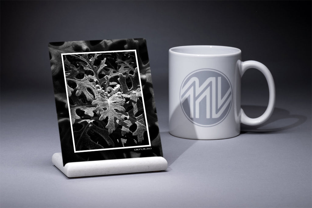 &quot;Fuzzy Foliage&quot; 4x5 Metal Print &amp; Stand