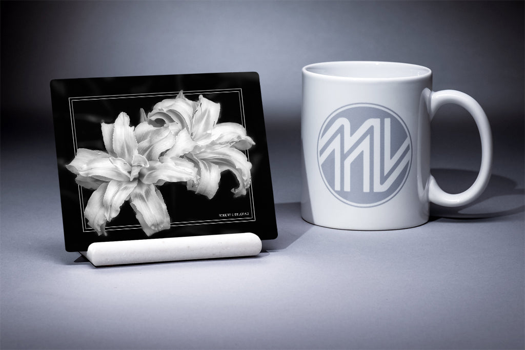 &quot;Daylilies&quot; 4x5 Metal Print &amp; Stand