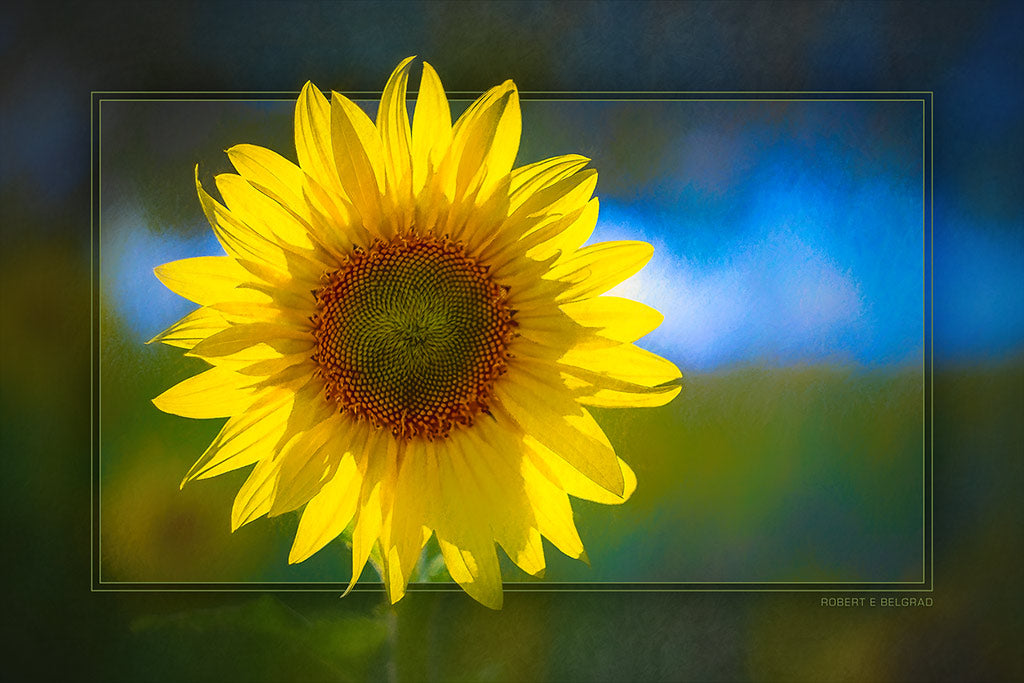 &quot;Helios Sunflower&quot; 4x6 Metal Print &amp; Stand