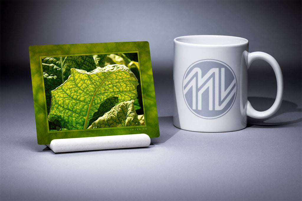 &quot;Tobacco in Sunlight&quot; 4x5 Metal Print &amp; Stand