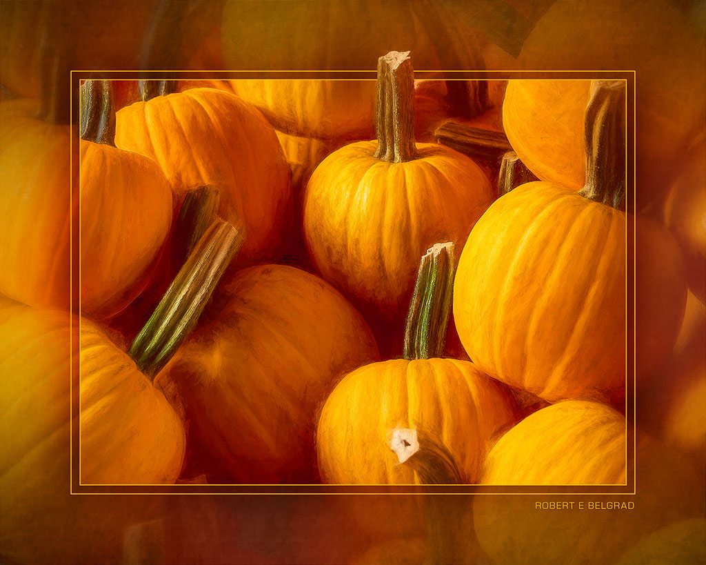 &quot;Pumpkins in a Pile&quot; 4x5 Metal Print &amp; Stand