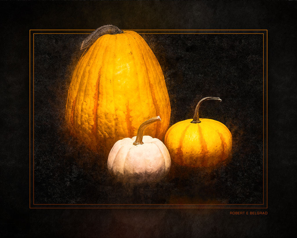 &quot;Pumpkin Squash&quot; 4x5 Metal Print &amp; Stand