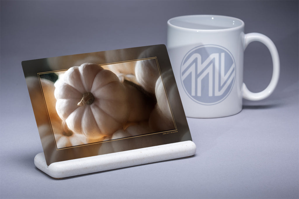 "White Pumpkin Squash" 4x6 Metal Print & Stand