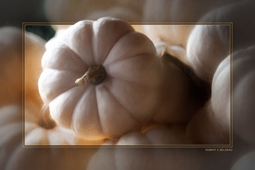"White Pumpkin Squash" 4x6 Metal Print & Stand
