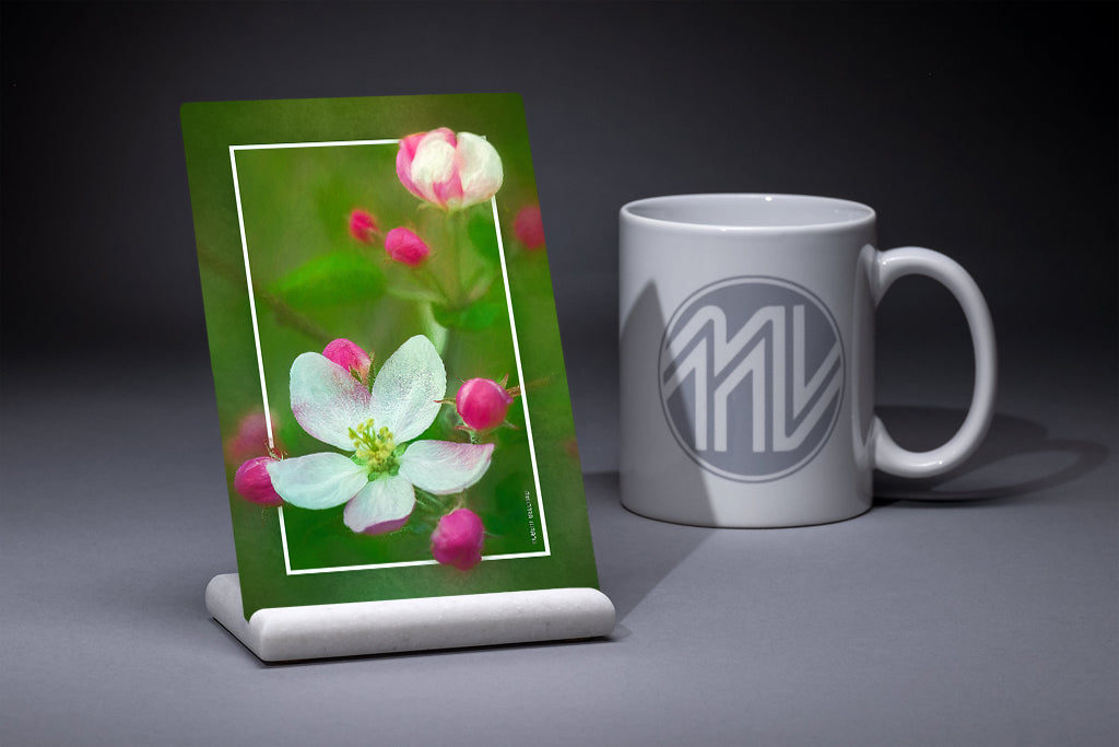 "Magnolias" 4x6 Metal Print & Stand